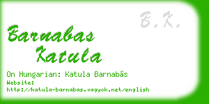 barnabas katula business card